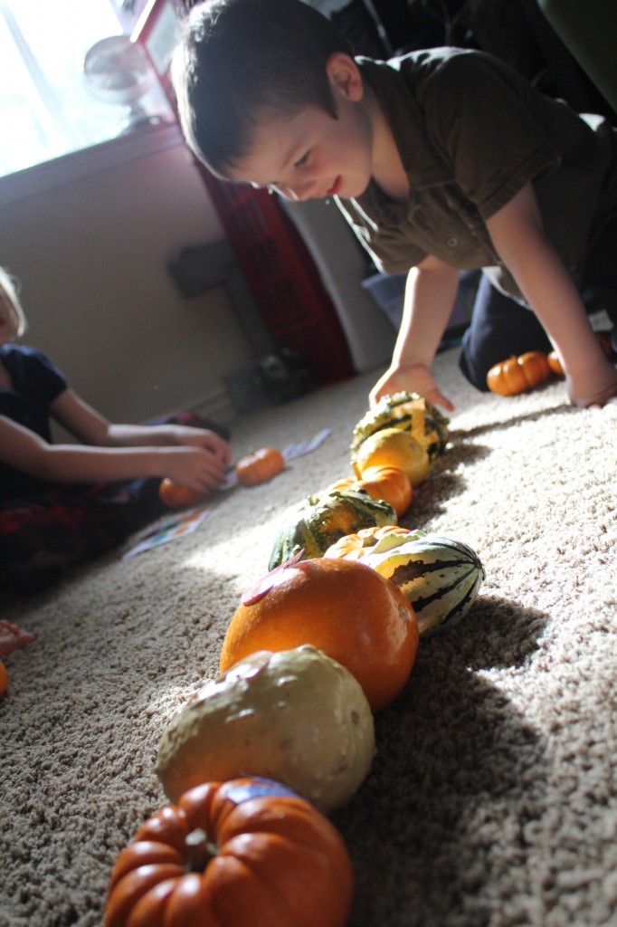 Pumpkin Patterning