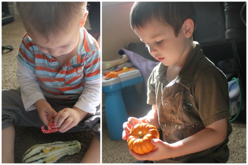 Counting with Pumpkins