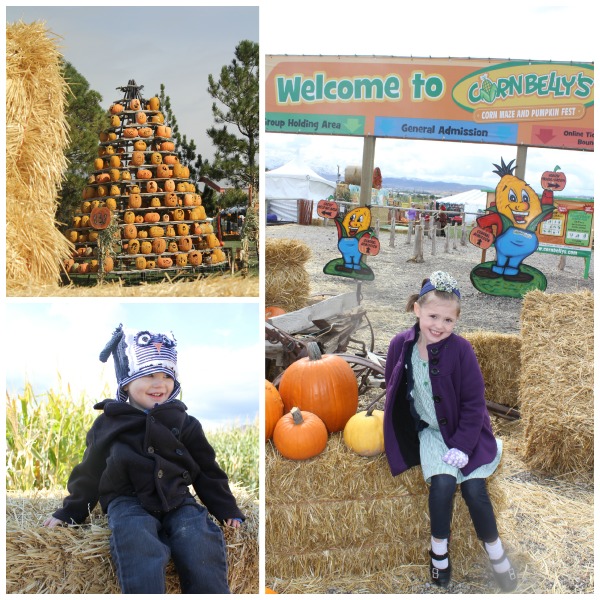 Cornbelly's corn maze coupons 2018