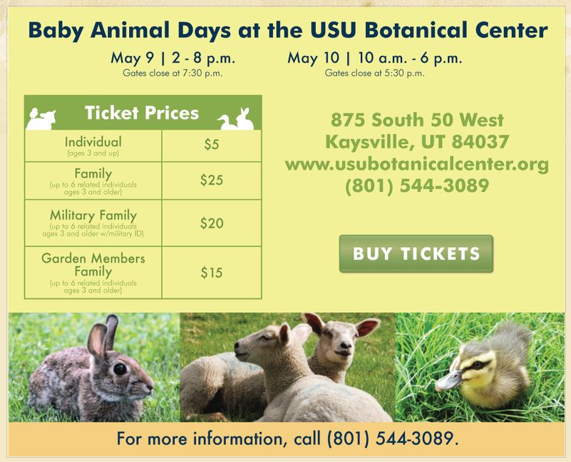 Celebrate Spring with Baby Animal Days - KeepMovingForwardWithMe