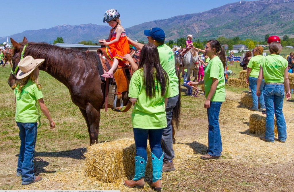 Celebrate Spring with Baby Animal Days - KeepMovingForwardWithMe