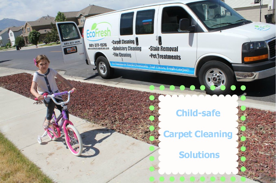 How to maintain your carpet in 3 easy steps KeepMovingForwardWithMe