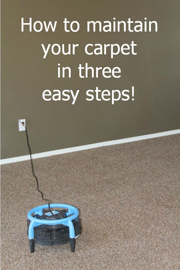 How to maintain your carpet in 3 easy steps KeepMovingForwardWithMe