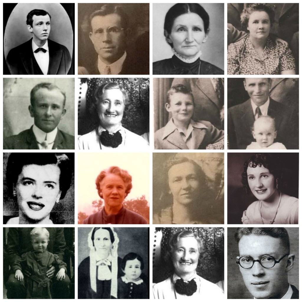 Family History Bingo