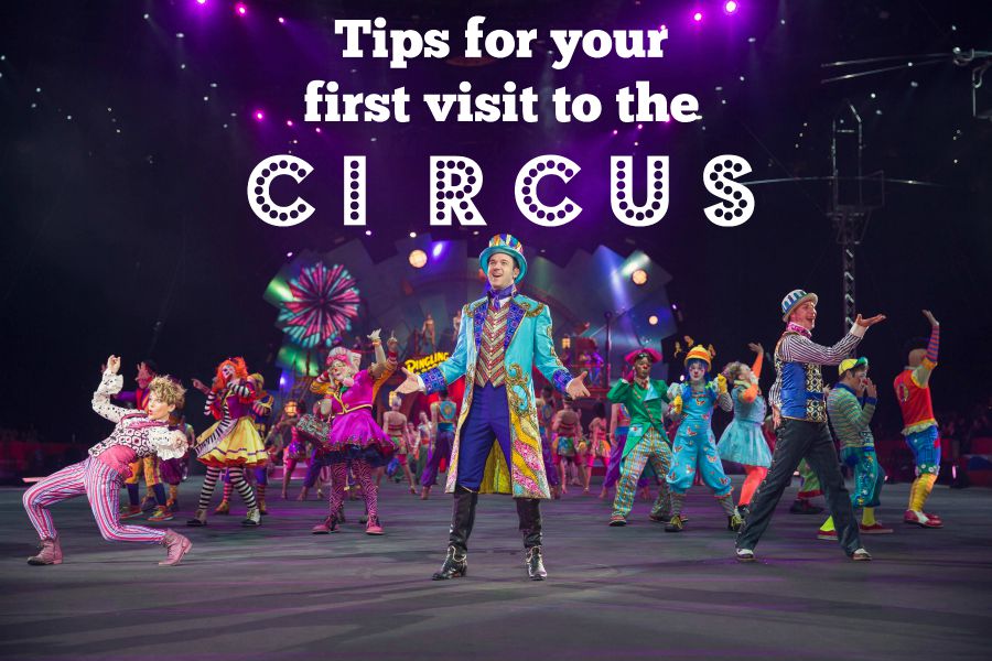 Tips for taking your kids to the circus