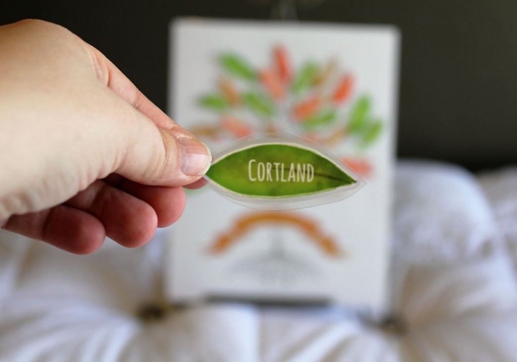 Family Tree Matching Game for Kids