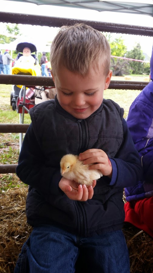 Family time at Baby Animal Days in Kaysville + Giveaway