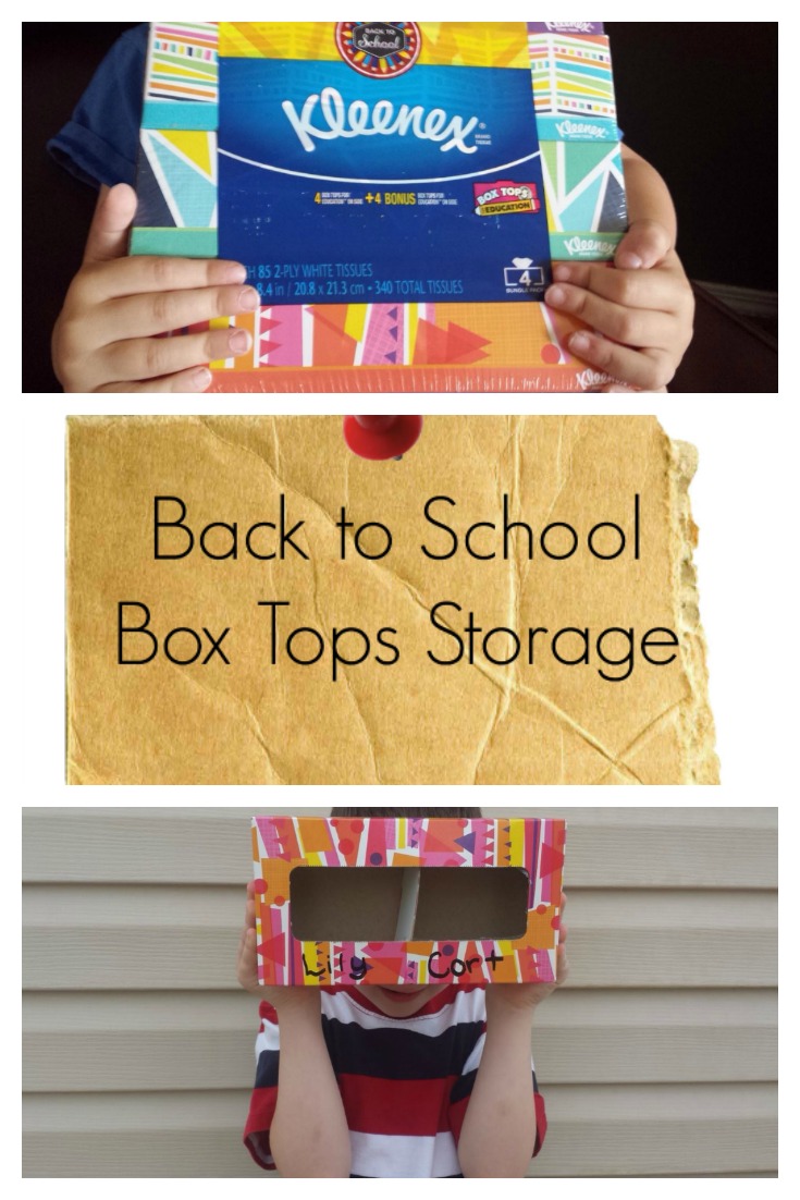 DIY Box Tops Storage Container out of a tissue box. So easy! 
