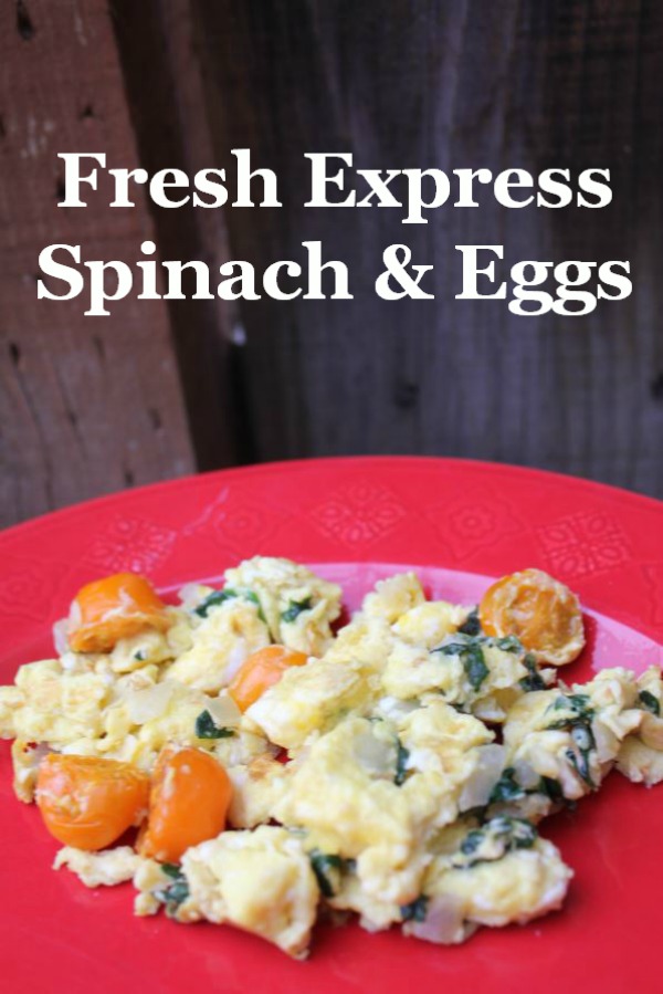 Fresh Express Tex Mex Salad + Coupons and a free app