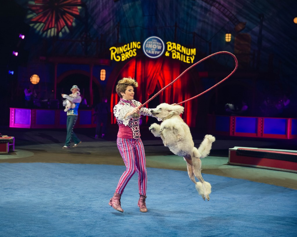 Цирк на цветном бульваре акробаты. Pokemon circus. Circus go. Circus go. Circus (great moscow circus).